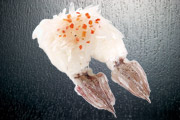 「かっぱ寿司」女性に人気の創作寿司ランキング
