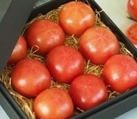 トマトを１０倍楽しむンデス