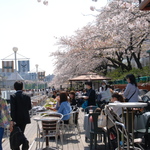 満開の桜が間近に楽しめる話題のお店